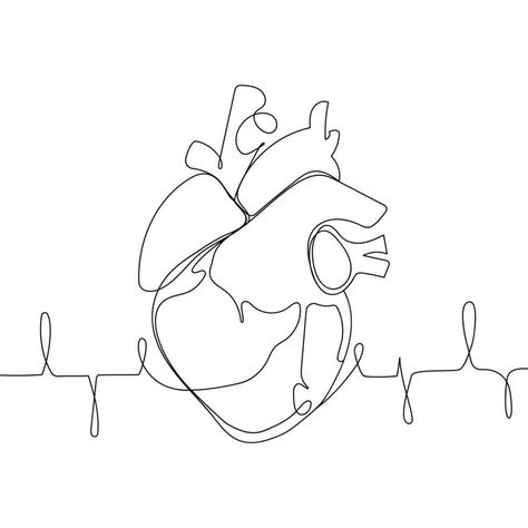 Anatomical human heart silhouette Single continuous line art .Healthy medicine concept design sketch outline drawing vital human organ vector illustratio.Minimalist design human heart with cardiogram Medicine Doodles, Concept Design Sketch, Sketch Outline, Heart Organ, Continuous Line Art, Heart Silhouette, Wire Wall Art, Human Organ, Heart Doodle