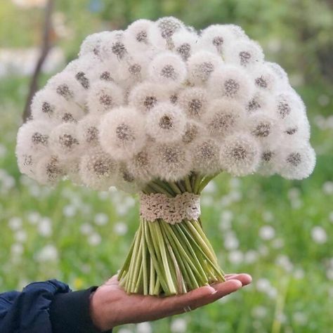 Round Column, Satisfying Pictures, Dandelion Wish, Snow Covered Trees, Dandelion Seed, Dandelion Flower, Wedding Ornament, Colorful Cakes, Oddly Satisfying