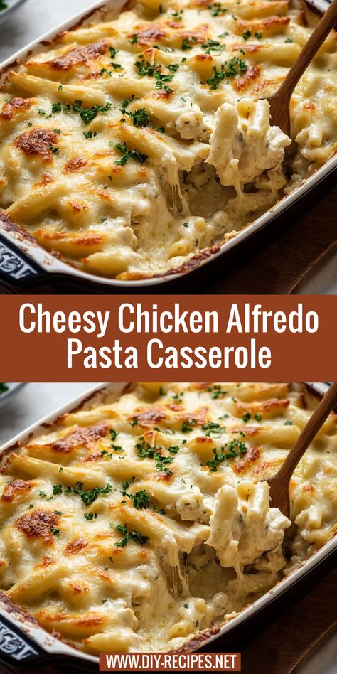 Make this easy chicken Alfredo casserole with penne pasta, mozzarella, and a creamy Parmesan Alfredo sauce. A crowd-pleaser! Easy Alfredo Baked Pasta, Easy Alfredo Casserole, Chicken Alfredo Bake For A Crowd, Chicken Alfredo Pasta For A Crowd, Baked Pasta Chicken, Good Chicken Alfredo Recipes, Cheesy Chicken Alfredo Bake, Chicken And Alfredo Sauce Recipes, Chicken Parmesan Alfredo Pasta