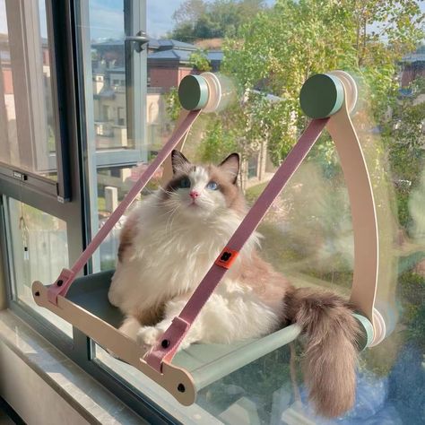 😻your kitty will love it Cat Diys, Hanging Cat Bed, Cat Window Hammock, Bed Window, Pet Brand, House Bedroom Ideas, Cat Problems, Cat Window Perch, Window Perch