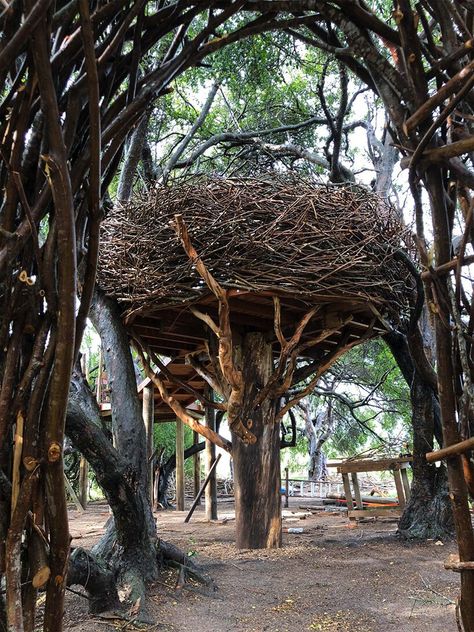 brooklyn-based designer charlie baker weaves enormous nests for humans Charlie Baker, Garden Trellis Designs, Spot Art, Rustic Pergola, Geometric Sculpture, Garden Arbor, London Design Festival, Colossal Art, Birds Nest