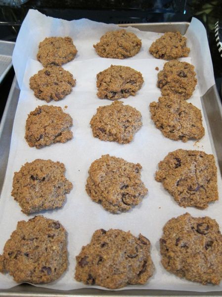 Wheat Belly Diet Plan, Wheat Belly Diet Recipes, Wheat Belly Diet, Wheat Belly Recipes, Coconut Flour Recipes, Grain Free Desserts, Belly Diet, Wheat Belly, Gluten Free Chocolate Chip Cookies