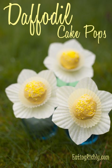 Super cute daffodil cake pops from Eating Richly (even when you're broke). Christmas Cake Pop Display, Christmas Cake Pops Recipe, Cake Pops Tutorial, Daffodil Cake, Flower Cake Pops, Perfect Cake Pops, Rose Cake Pops, Apple Cake Pops, Mousse Au Chocolat Torte