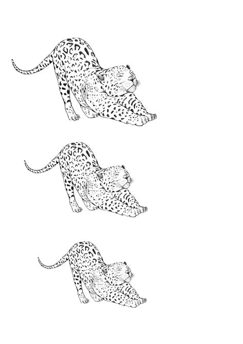 Cheetah Tattoo Thigh, Cheetah Hip Tattoo, Simple Leopard Tattoo, Leopard Back Tattoo, Leopard Tattoo Design For Women, Tattoo Triangle, Cheetah Tattoo, Small Girly Tattoos, Leopard Tattoos