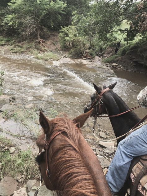 Rauch Fotografie, Foto Cowgirl, Horse Riding Outfit, Beautiful Horses Photography, Horse Ears, Horse Aesthetic, All About Horses, Equestrian Sports, Cute Horses