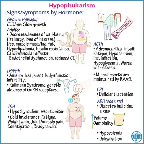 Endocrine Nursing, Kallmann Syndrome, Clinical Pathology, Endocrine Hormones, Neurological System, Nursing School Essential, Airway Management, Endocrine Disorders, Nursing School Studying