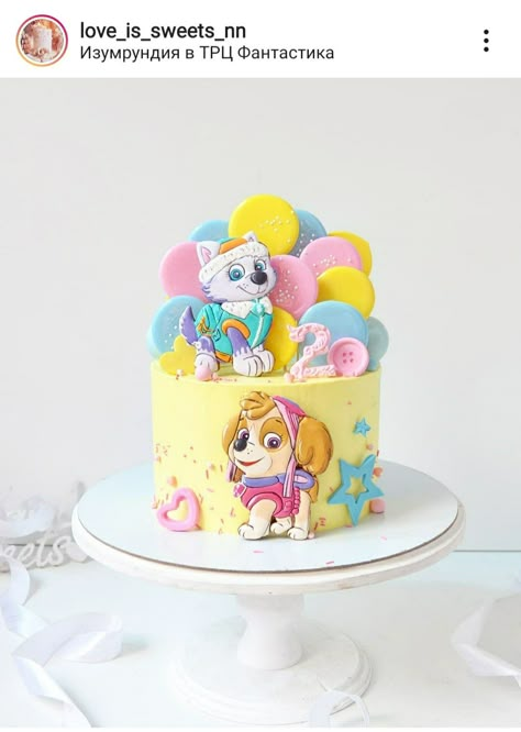 Tort Paw Patrol, Sky Birthday Cake, Paw Patrol Sky Cake, Paw Patrol Birthday Cake Girl, Baby Cake Design, Best Playdough Recipe, Paw Patrol Birthday Decorations, Paw Patrol Birthday Cake, Psi Patrol