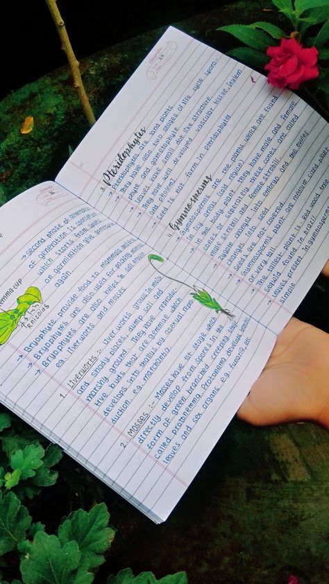 Plant Kingdom | Science notes, Study biology, Biology notes Botanist Aesthetic, Zoology Notes, Notes Science, Neet Notes, Biology Plants, Learn Biology, Plant Notes, Notes Study, Plant Kingdom