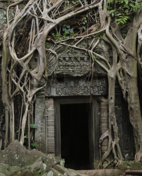 Ancient Jungle Ruins, Ancient Temple Ruins, Temple In Jungle, Ancient Doorways, Cambodian Architecture, Dark Temple, Cambodian Temple, Jungle Ruins, Jungle Temple