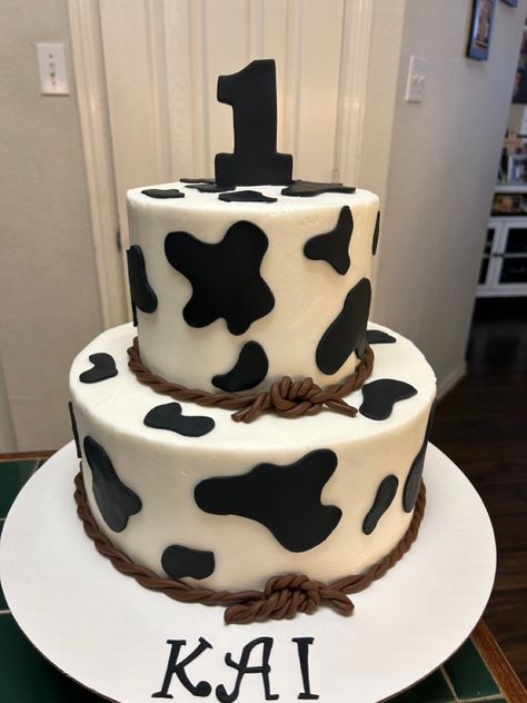 Holy Cow I’m One Cake Ideas, Cow Smash Cake Boys, Cow Smash Cake, Cow Print Cake, Cow Print Cakes, Cowboy Birthday Cakes, Baby First Birthday Themes, Cow Cakes, Smash Cakes