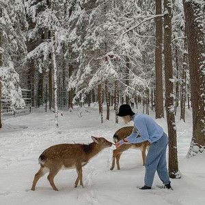 lily of the valley - s 💌 folk acoustic playlist. cottagecore, nature Winter Cottagecore, Winter Princess, Snow Princess, Snow Fairy, Winter Fairy, I Love Winter, Winter Love, Modern Disney, Snow Angels