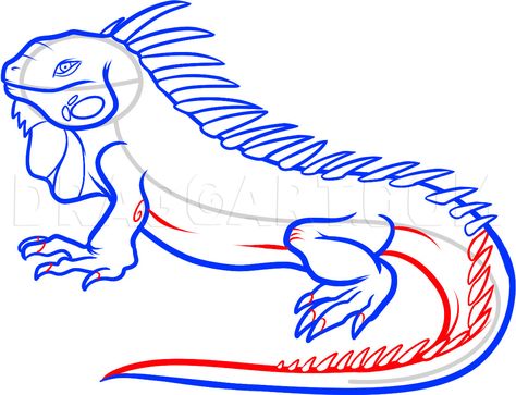 Iguana Tattoo, Dragon In Flight, Flying Dragon, Drawing Guide, Animal Activities, Dragon Drawing, Step Drawing, Guided Drawing, Rock Crafts