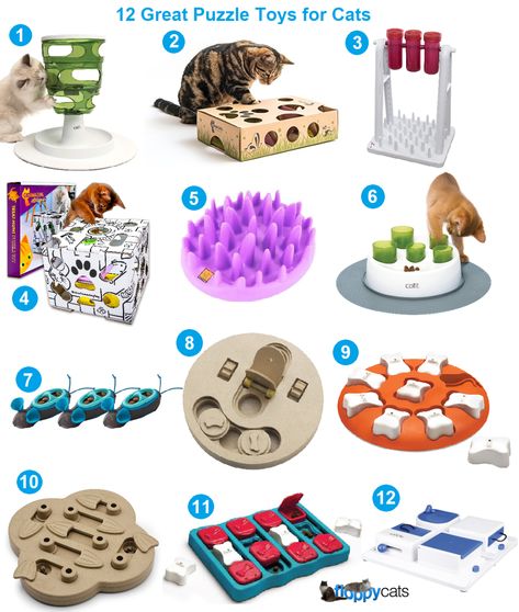 Puzzle Toys for Cats | Cat Games | Cat Interactive Toys Cat Puzzle Toys, Diy Cat Puzzles, Cat Games For Cats, Pet Games, Cat Enrichment, Cat Games, Pets Stuff, Cat Supplies List, Best Treats