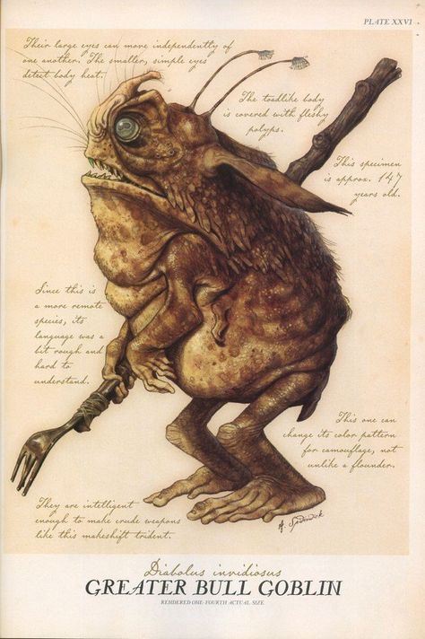 This is a Greater Bull Goblin | Goblins (Family: Adentidae) | Sometimes Sprites are called Faeries, even though we all know the term "Faerie" can be used to designate creatures like Trolls, Giants and Kelpies as well. Mystical Creatures Mythology, Tony Diterlizzi, Magic Creatures, Spiderwick Chronicles, Green Goblin, Forest Creatures, Dragon Artwork, Scary Art, Arte Inspo