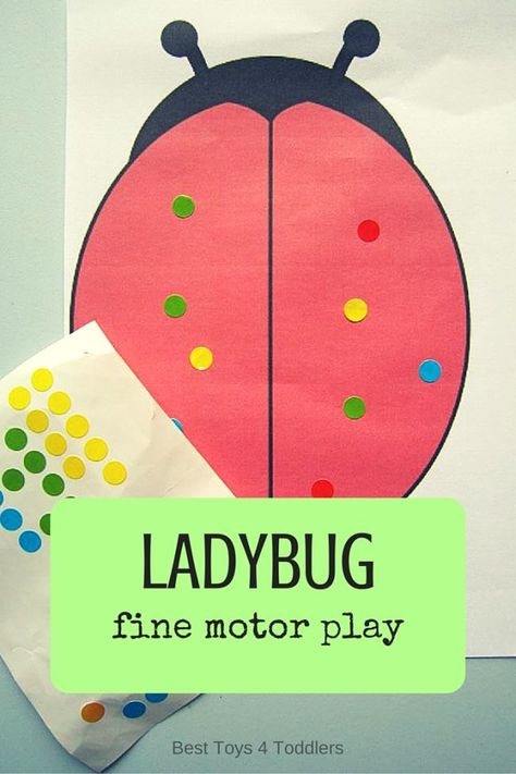 Best Toys 4 Toddlers - Ladybug fine motor play and counting practice for toddlers and preschoolers Fine Motor Play, Bug Activities, Insects Preschool, Counting Practice, Bugs Preschool, Insect Activities, Toddler Lessons, Insect Crafts, Counting Activity