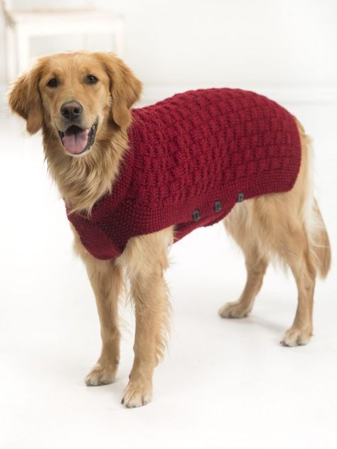 Knitted Dog Sweater Pattern, Large Dog Sweaters, Dog Sweater Crochet Pattern, Dog Sweater Pattern, Small Dog Sweaters, Crochet Dog Sweater, Knit Dog Sweater, Jumper Knitting Pattern, Dog Jumpers