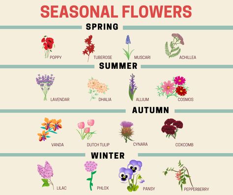 List Of Spring Flowers, All Seasons Garden, All Year Round Garden Plants, All Year Around Plants, All Year Flowers, November Wild Flowers, English Summer Flowers, Plants That Flower All Year Round, All Year Flowers Garden