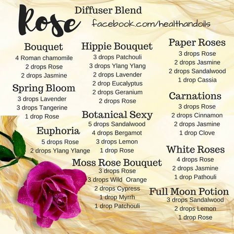 Scent Recipes, Rose Blend, Essential Oil Perfume Blends, Eo Blends, Essential Oil Perfumes Recipes, Home Massage, Doterra Recipes, Doterra Diffuser, Floral Essential Oils