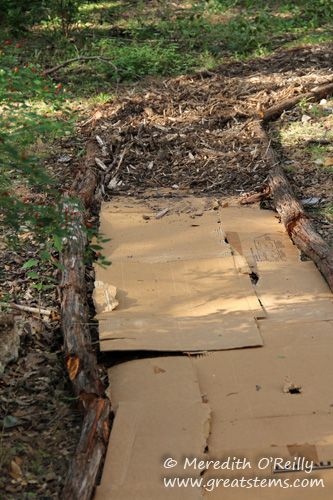 Homestead Yard Ideas, Natural Landscape Design Backyard Ideas, Plants Lining Walkway, Forest Yard Ideas, Woodland Yard Landscape Design, Paths Through The Woods, Wooded Yard Ideas, Winding Garden Pathways, Creating Paths In Woods