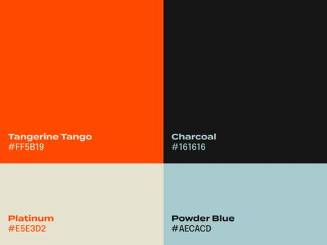 Black Branding Color Palette, Brand Colour Schemes, Flat Color Palette, Color Schemes Design, Adobe Photoshop Design, Color Design Inspiration, Orange Color Palettes, Color Palette Challenge, Red Colour Palette