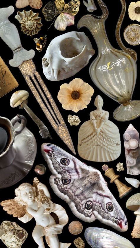 #vintage #oddity #oddities #wallpaper #spooky #witchy #aesthetic #trinkets #clutter #cluttercore #bones Cluttered Wallpaper, Aesthetic Trinkets, Oddities Decor, Witchy Aesthetic, Decor Wallpaper, Video Background, Bones, Wallpapers, Tattoos