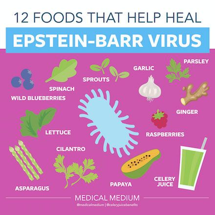 Medical Medium: 12 Foods That Help Heal Epstein-Barr Virus Epstein Barr, Breast Implant Illness, Medical Transcriptionist, Thyroid Healing, Anthony William, Medium Blog, Medical Medium, Medical Anatomy, Healing Food