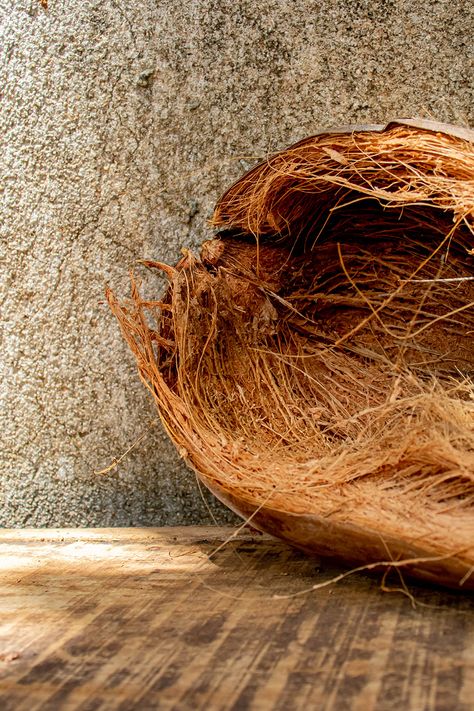 Our Coir collection uses natural material usually discarded as part of coconut harvesting. The husk of the coconut houses the tough coir fibres that are first extracted using steel combes before being cleaned and turned into mats or carpets. The result is a natural fibre that can help trap dirt and debris, making it a perfect choice for entrance matting or a hardwearing carpet for living room areas. Free samples of this range are available via our website - follow the link. #coir #naturalfloors Coconut Products Design, Natural Flooring Ideas, Hardwearing Carpet, Coconut Fiber Products, Coconut Decor, Coconut Fiber Planter, Banana Fibre Products, Hemp Carpet, Rustic Carpet