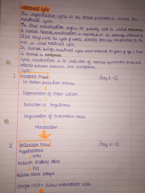 This pin contains notes on the menstrual cycle. Check out my board for the continuation on the menstrual cycle. #biology #notes Menstrual Cycle Class 12, Menstrual Cycle Biology Notes, Menstrual Cycle Diagram, Bio Class 12 Notes, Menstrual Cycle Notes, Human Reproduction Notes Class 12, Human Reproduction Notes, Class 12 Biology Notes, Human Reproduction