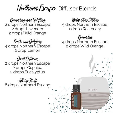 Doterra Northern Escape, Essential Oils Doterra, Doterra Oil, Relaxation Station, Essential Oil Companies, Leaves And Branches, Sandalwood Oil, Diffuser Recipes, Wild Orange