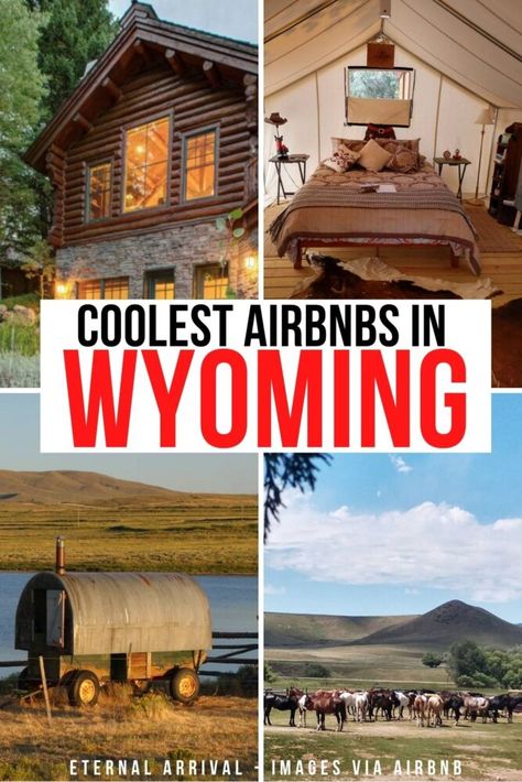 Where To Stay In Cody Wyoming, Wyoming Home Decor, Living In Wyoming, Wyoming Living, Wyoming Travel Road Trips, Airbnb Unique, Wyoming Camping, Wyoming Jackson Hole, Wyoming Cabin