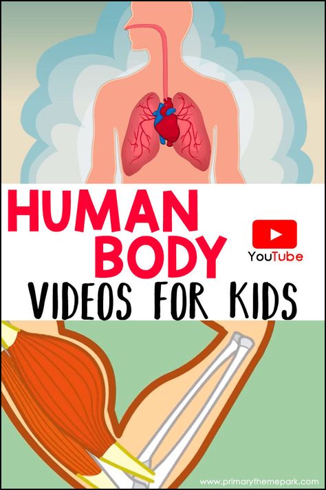 Human Body Video, Human Body Videos, Human Body Unit Study, Human Body Activities, Human Body Unit, Education Science, Homeschool Education, Human Body Systems, Homeschool Learning