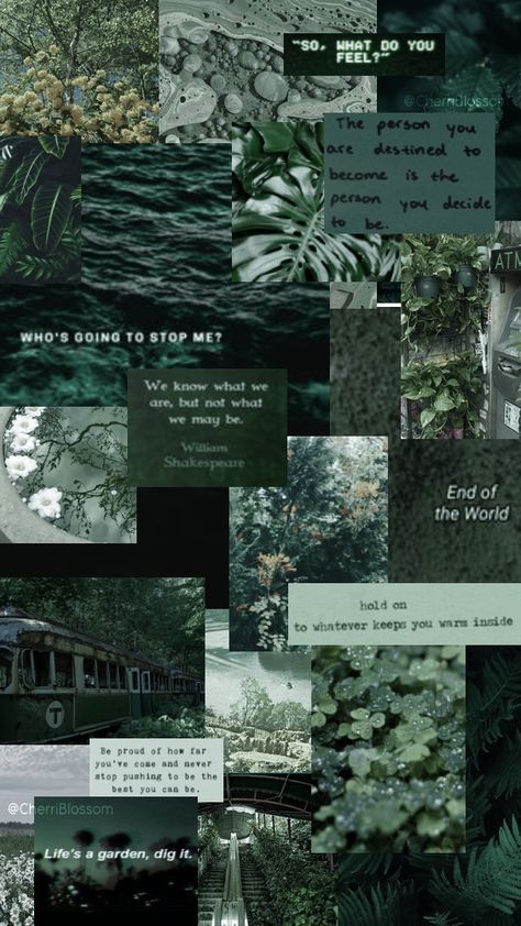 Green Aesthetic Collage, Tyler Galpin, Green Aesthetic Tumblr, Dark Green Wallpaper, Dark Green Aesthetic, Pretty Backgrounds, Cute Simple Wallpapers, Edgy Wallpaper, Aesthetic Desktop Wallpaper