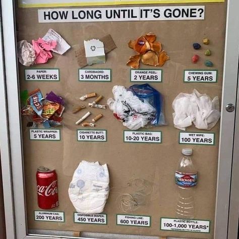 Avoid single-use and ensure all the post-consumer material is disposed in designated bins. :recycle: Pollution Activities, Recycling Activities, Cookie Container, Earth Day Crafts, Reduce Reuse Recycle, Plastic Pollution, Chewing Gum, Reggio Emilia, Science Fair