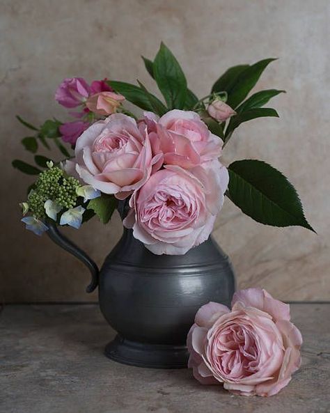 Black Pen Sketches, David Austin Rose, Still Life Pictures, Acrylic Painting Inspiration, Austin Rose, Still Life Flowers, Flower Painting Canvas, David Austin Roses, Rose Vase