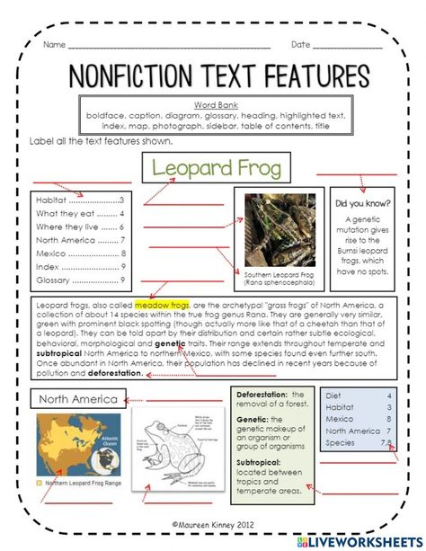 Text And Graphic Features Activities, Teaching Text Features Third Grade, Non Fiction Text Features Worksheet, Non Fiction Text Features, Fact And Opinion Worksheet, Poetic Techniques, Text Features Activities, Text Features Worksheet, Figurative Language Worksheet