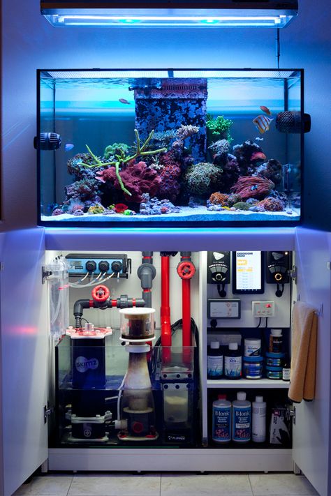 Saltwater Tank Setup, Saltwater Aquarium Setup, Aquarium Sump, Fish Aquarium Decorations, Fish Tank Themes, Wall Aquarium, Cool Fish Tanks, Reef Tanks, Saltwater Fish Tanks