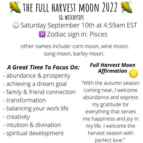 Tips for Witches Everywhere! ✨ on Instagram: "The full September harvest moon is approaching fast! 🌾🌕 Here is some spell work and ideas on things to focus on during this full moon in the sign of Pisces." Harvest Moon Spells, Harvest Moon Activities, Harvest Full Moon, Full Harvest Moon, Full Moon Spells, Corn Moon, Moon Activities, Moon Spells, Spell Work