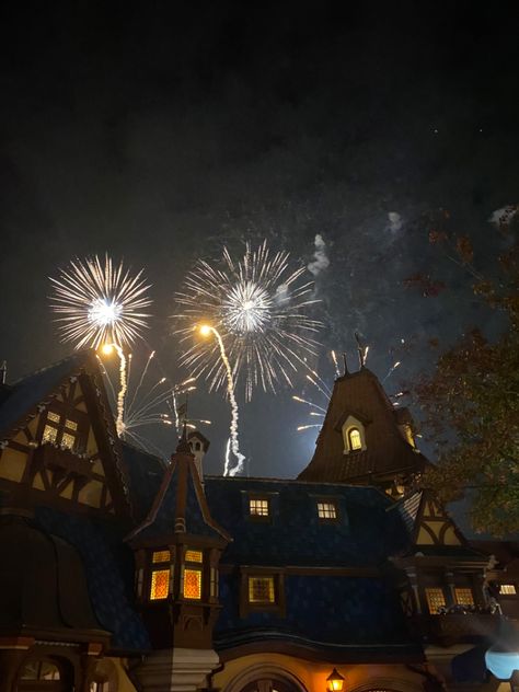 Fireworks above Magic Kingdom in Disneyworld, FL Aesthetic Fireworks, World Aesthetic, Disney Aesthetic, Magic Kingdom, Fireworks, Disney World, Sun, Disney