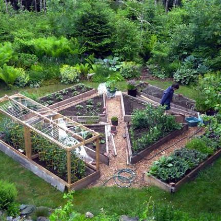 http://www.bengreenfieldfitness.com/2013/01/227-how-to-grow-your-own-superfoods/ Wood Vegetable Garden, Forest Food, Garden Setup, Bed Layout, Plantarea Legumelor, Rectangular Garden, Garden Bed Layout, Nice Garden, Garden Layouts