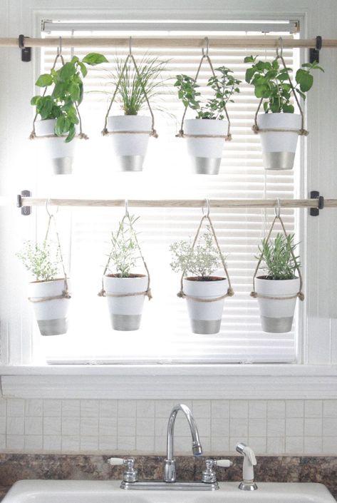 Indoor Herb Garden Diy, Window Herb Garden, Hanging Herb Garden, Hanging Herbs, Herb Garden In Kitchen, Diy Herb Garden, Herb Garden Design, Easy Budget, Apartment Plants