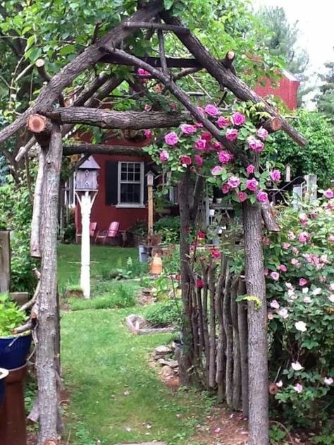 Tree Trellis Ideas, Branch Pergola, Diy Garden Arch, Rustic Garden Fence, Rustic Arbor, Die Rose, Plants Growing, Garden Arbor, Garden Arches