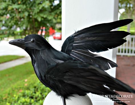 Halloween Front Porch Decoration with Black Crows Crows For Halloween, Diy Crow Decoration, Black Crow Halloween Decor, Diy Crow Halloween Decorations, Diy Crows Halloween, Halloween Crows Decorations, Halloween Crow Decor, Crow Crafts, Halloween Crows