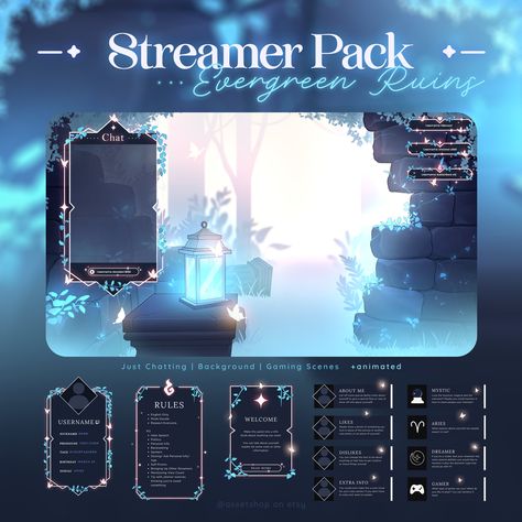 Vtuber Overlay Design, Stream Overlay Ideas, Twitch Overlay Ideas, Dream Header, Twitch Streamer Aesthetic, Art Stream Overlay, Streamer Overlay, Streaming Aesthetic, Video Game Title Screen