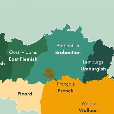 The World in Maps 🌍 on Instagram: "Belgium and Luxembourg are home to a rich variety of regional languages and dialects. In Belgium, Dutch (Flemish) is spoken in Flanders, French dominates Wallonia, and German is prevalent in the east. In Brussels, both French and Dutch coexist. Additionally, local dialects like Limburgish, Walloon, and Brabantian are also spoken in the country.

Luxembourg is a trilingual nation, using Luxembourgish as the national language, while French and German are official administrative languages. Luxembourgish dialects vary slightly by region. 

Map by @cactusmapping" National Language, Luxembourg, Brussels, The East, The National, Belgium, Map, The World, On Instagram