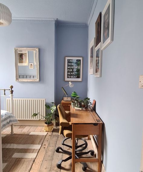 Cornflower Blue Walls, Periwinkle Room Aesthetic, Cornflower Blue Room, Powder Blue Walls, Blue Wall Room, Periwinkle Walls, Dulux Color, Periwinkle Bedroom, Periwinkle Room