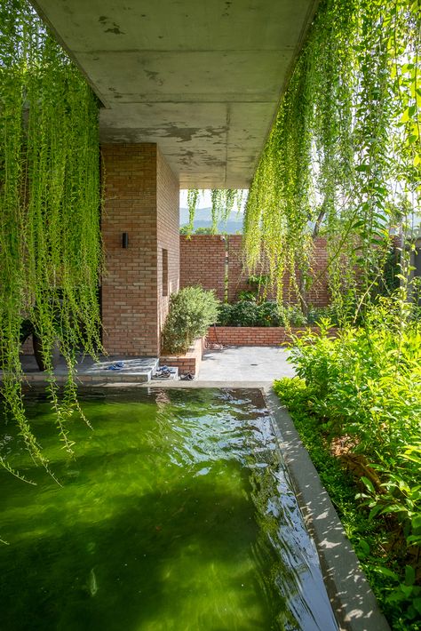 Curtain House, Creepers Plants, Red Brick Walls, Arch Ideas, Shigeru Ban, Eco Resort, Koi Fish Pond, Green Curtains, Shade Trees