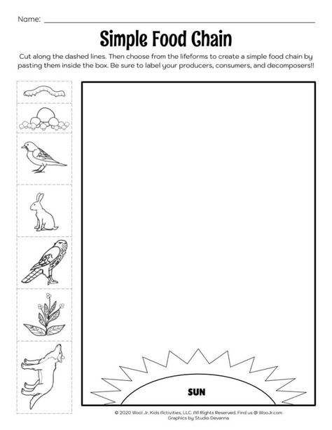 Simple Food Chain Photosynthesis Lesson Worksheet Food Chain Worksheet Free Printable, Food Chain Activities For Kids, Food Chains Activities, Simple Food Web, Simple Food Chain, Science Food Chains, Food Chain Activities, Food Chain Worksheet, Food Web Worksheet