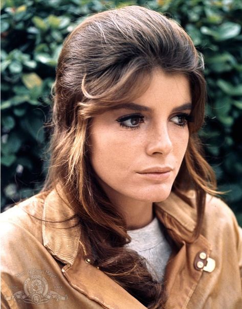 Katharine Ross as Elaine Robinson in "The Graduate" (1964) The Graduate 1967, Sherry Jackson, Katherine Ross, Katharine Ross, Yvonne Craig, Sam Elliott, Celebrity Makeup Looks, Anna Karina, The Graduate