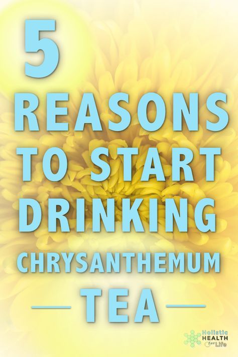 Five Reasons to Start Drinking Chrysanthemum Tea Chrysanthemum Benefits Health, Chrysanthemum Flower Benefits, Chrysanthemum Tea Recipes, Chrysanthemum Benefits, Chrysanthemum Tea Benefits, Herb Remedies, Teas For Headaches, Tea For Colds, Pregnancy Tea