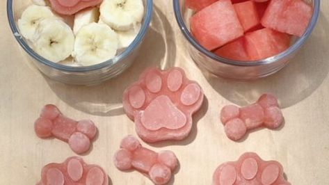 Watermelon Treats For Dogs, Watermelon Dog Treats Frozen, Watermelon Dog Treats, Puppy Treats Homemade, Frozen Dog Treats Recipes, Easy Homemade Dog Treats, Banana Dog Treats, Watermelon Dog, Easy Treats To Make